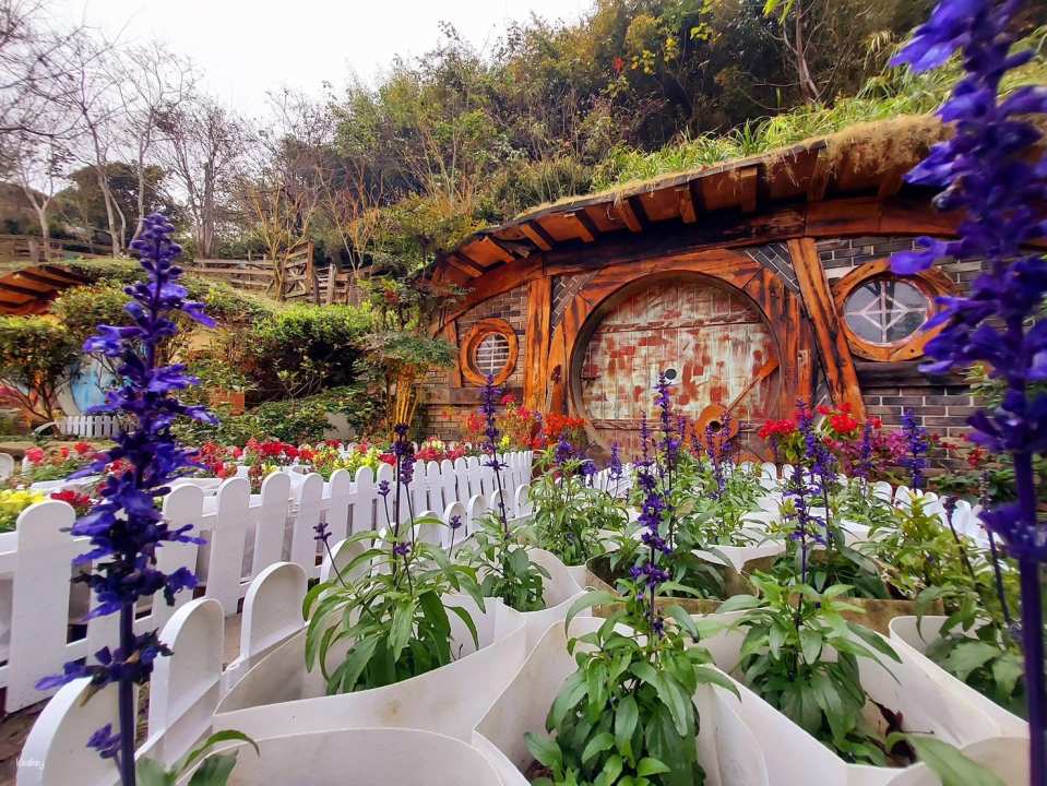 Miaoli Habichu Tea Tree Forest Ticket