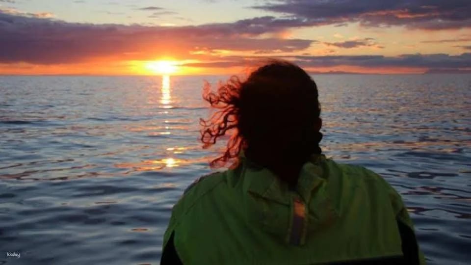 Midnight sun and whale watching boat tour