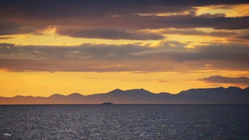 Midnight sun and whale watching boat tour
