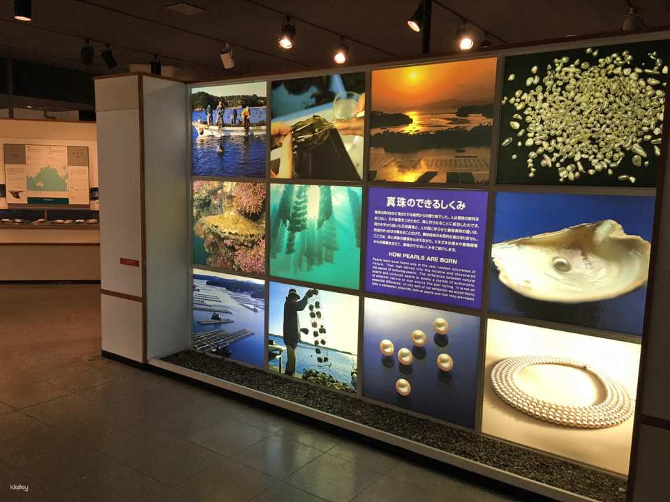 Mikimoto Pearl Island Admission Ticket | Toba, Mie