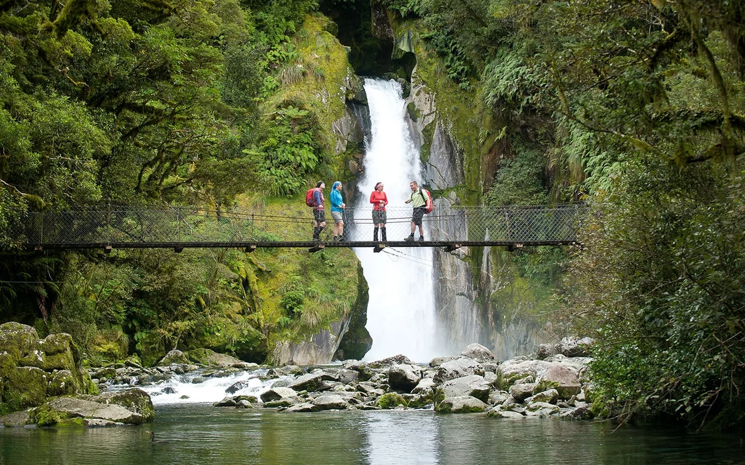 Milford Sound Boutique Small-Boat Cruise Image 10