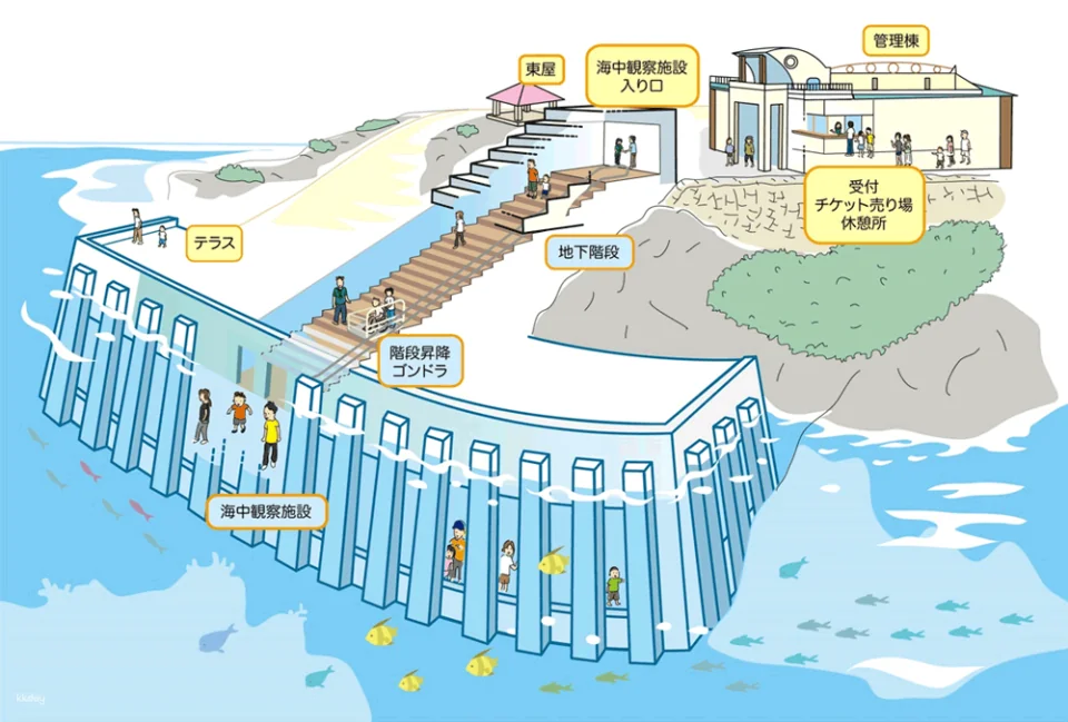 Miyakojima Marine Park Tickets | Underwater Viewing Experience