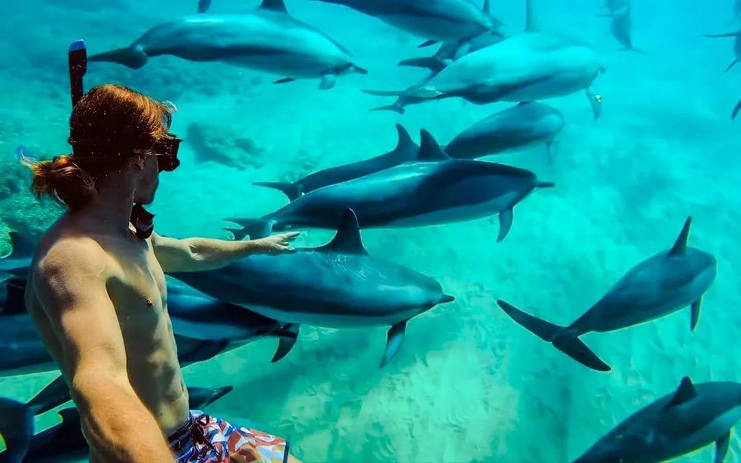 Mnemba Atoll Dolphin Spotting and Snorkeling Boat Trip with Lunch and Hotel Pickup Image 1
