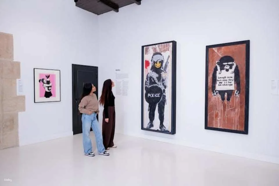 Moco Museum Barcelona: Entrance tickets with Banksy and more