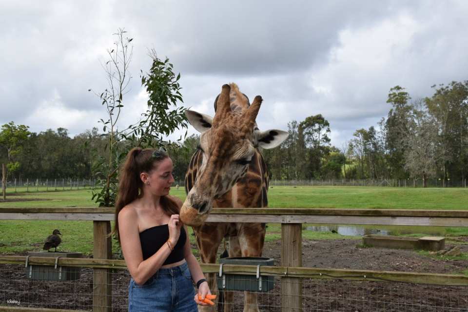 Mogo Wildlife Park Ticket | Australia