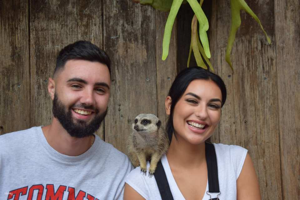 Mogo Wildlife Park Ticket | Australia