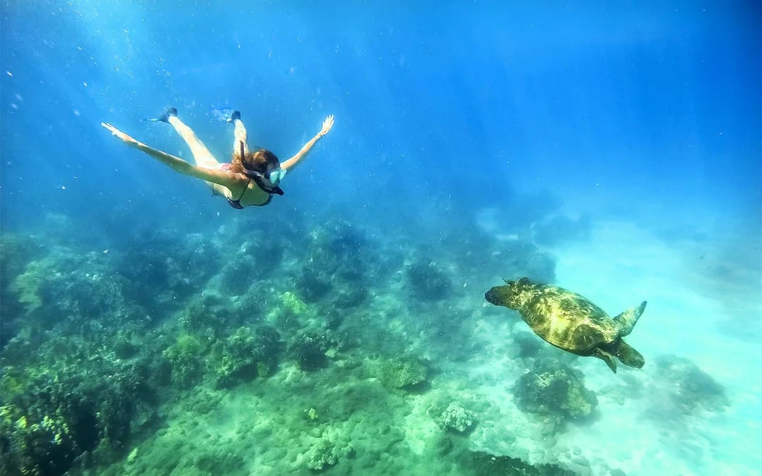 Molokini Crater & Turtle Arches Snorkel by Adventure Raft Image 4