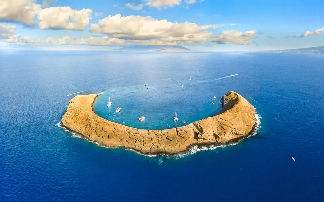 Molokini Crater & Turtle Arches Snorkel by Adventure Raft Image 5
