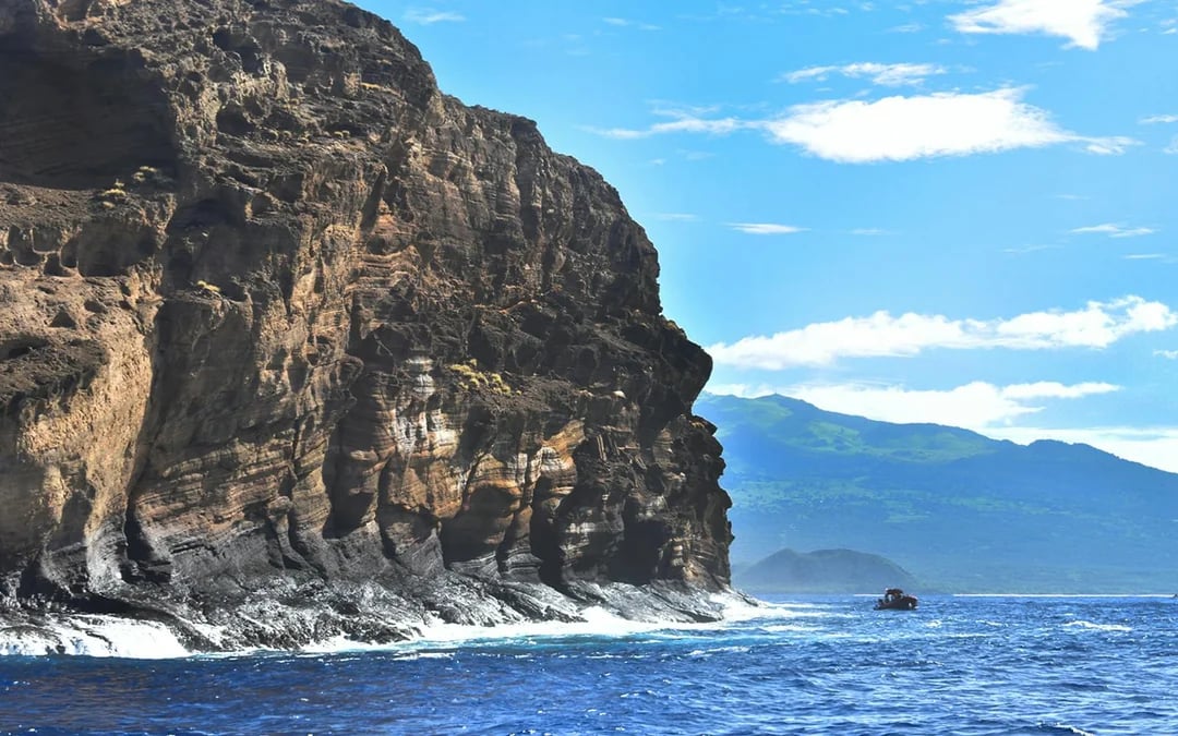Molokini Crater & Turtle Arches Snorkel by Adventure Raft Image 7