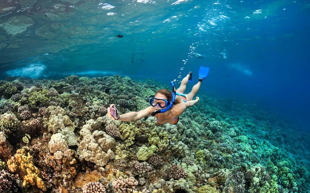Molokini Crater & Turtle Arches Snorkel by Catamaran or Raft Image 1
