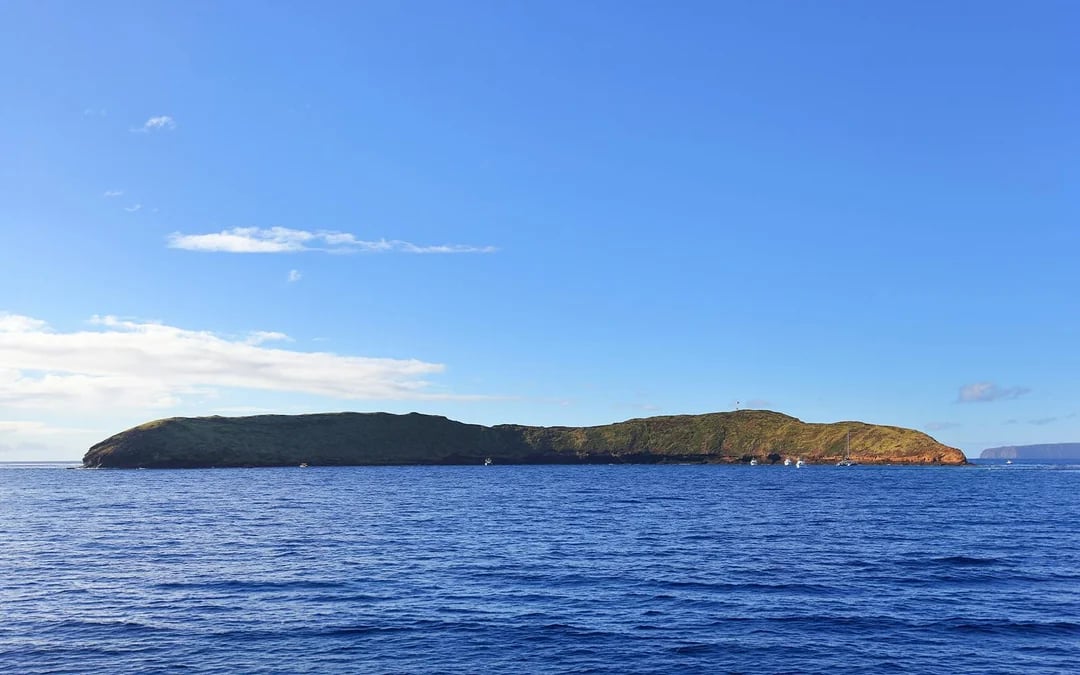 Molokini Crater & Turtle Arches Snorkel by Catamaran or Raft Image 4