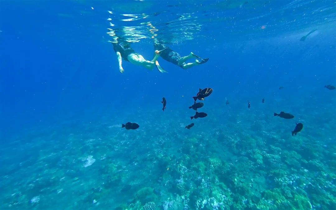 Molokini Crater & Turtle Arches Snorkel by Catamaran or Raft Image 8