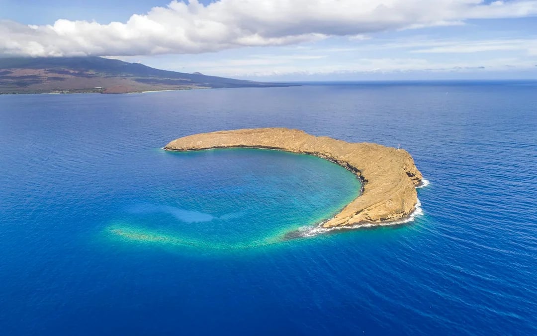 Molokini Crater & Turtle Arches Snorkel by Catamaran or Raft Image 10