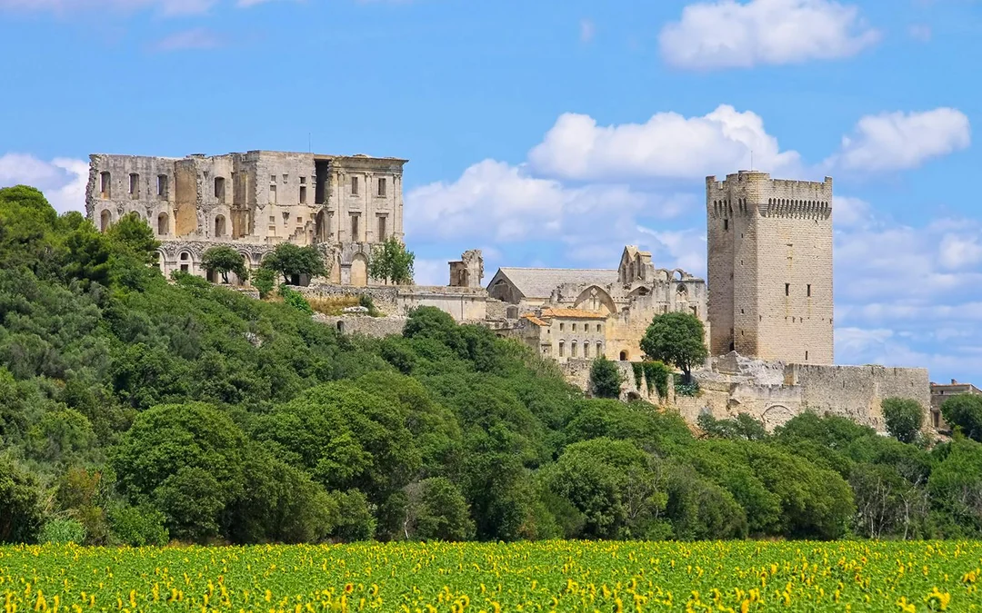 Montmajour Abbey Tickets Image 8