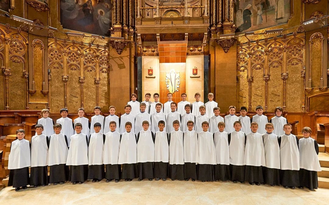  Montserrat Monastery + Black Madonna Access & Audio Guide
 Image 8