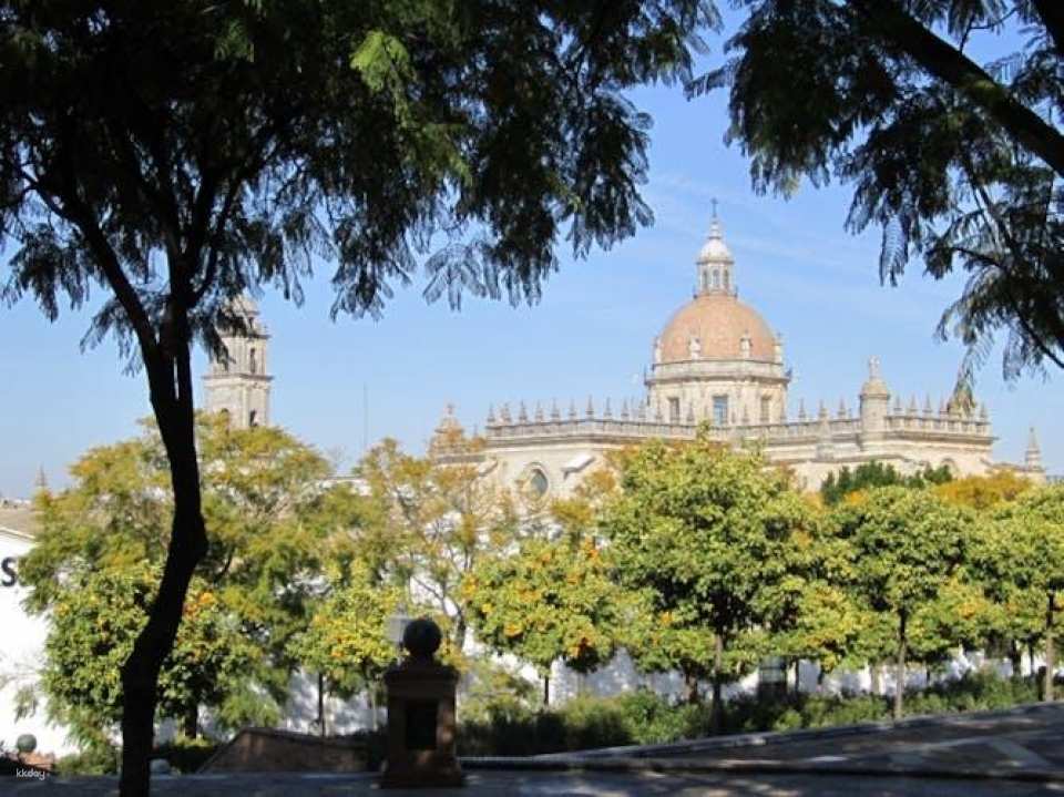 Monumental Jerez walking tour with Mudejar Alcazar and Cathedral tickets