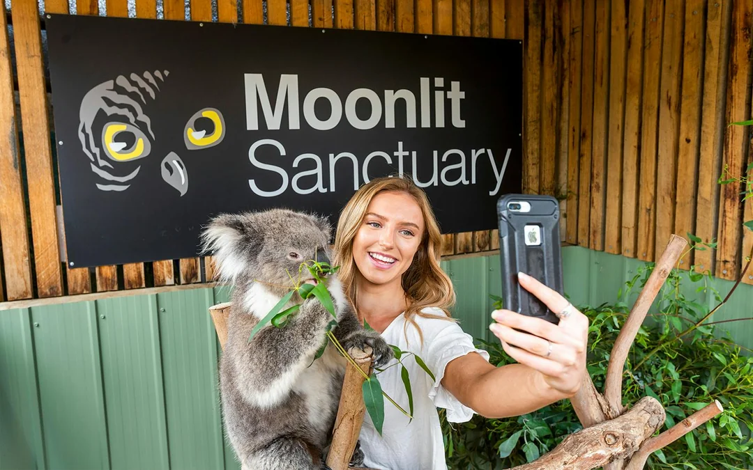 Moonlit Sanctuary Wildlife Park Admission Tickets Image 1
