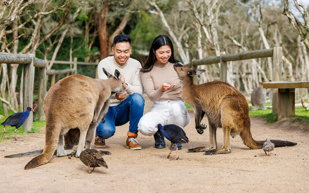 Moonlit Sanctuary Wildlife Park Admission Tickets Image 5