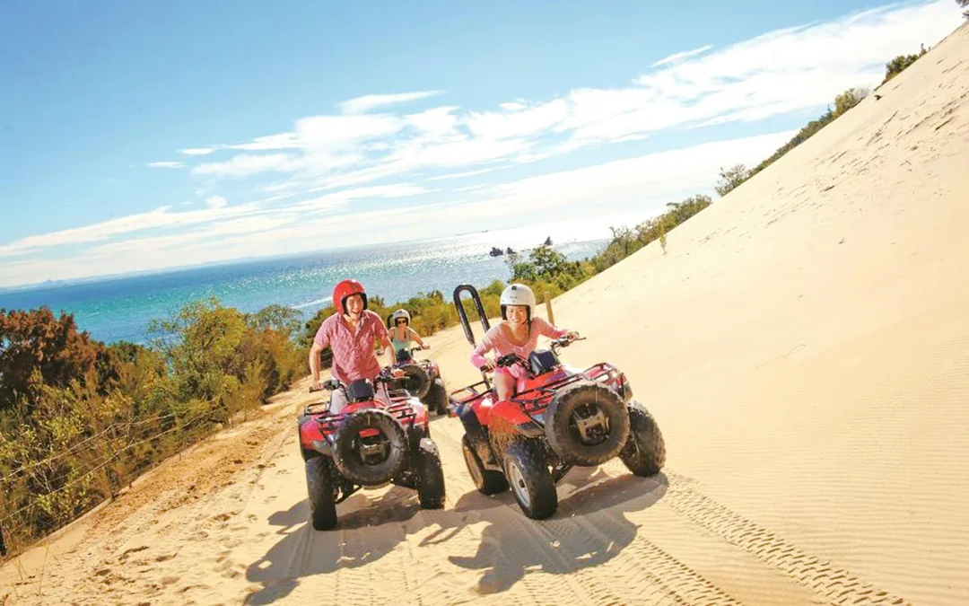 Moreton Island: Tangalooma Resort Cruise with Quad Bike Tour and Dolphin Feeding Image 1