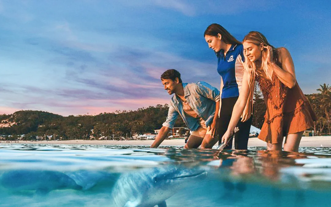 Moreton Island: Tangalooma Resort Cruise with Quad Bike Tour and Dolphin Feeding Image 2