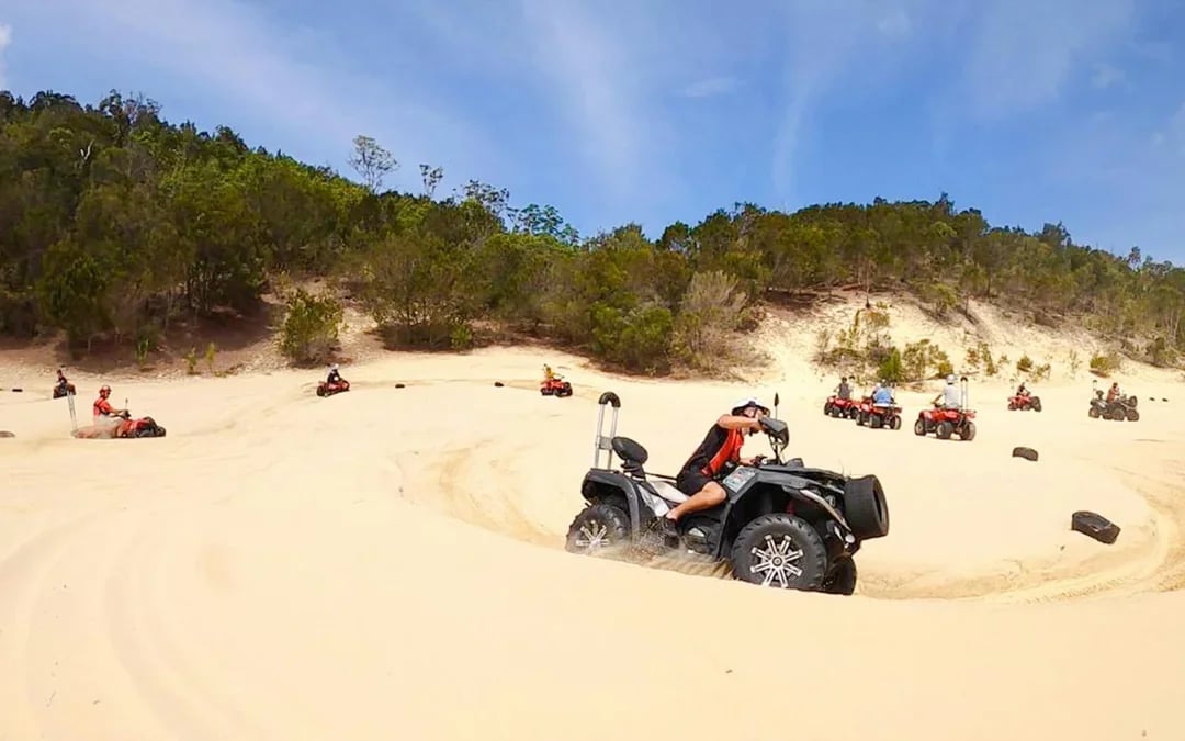 Moreton Island: Tangalooma Resort Cruise with Quad Bike Tour and Dolphin Feeding Image 4