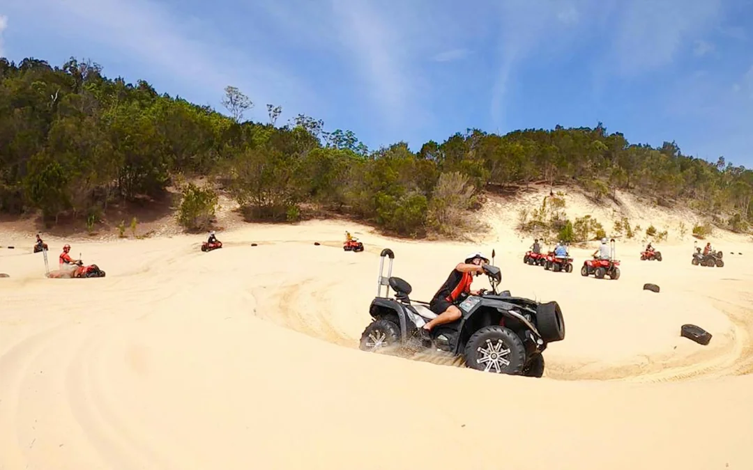 Moreton Island: Tangalooma Resort Cruise with Quad Bike Tour and Dolphin Feeding Image 4