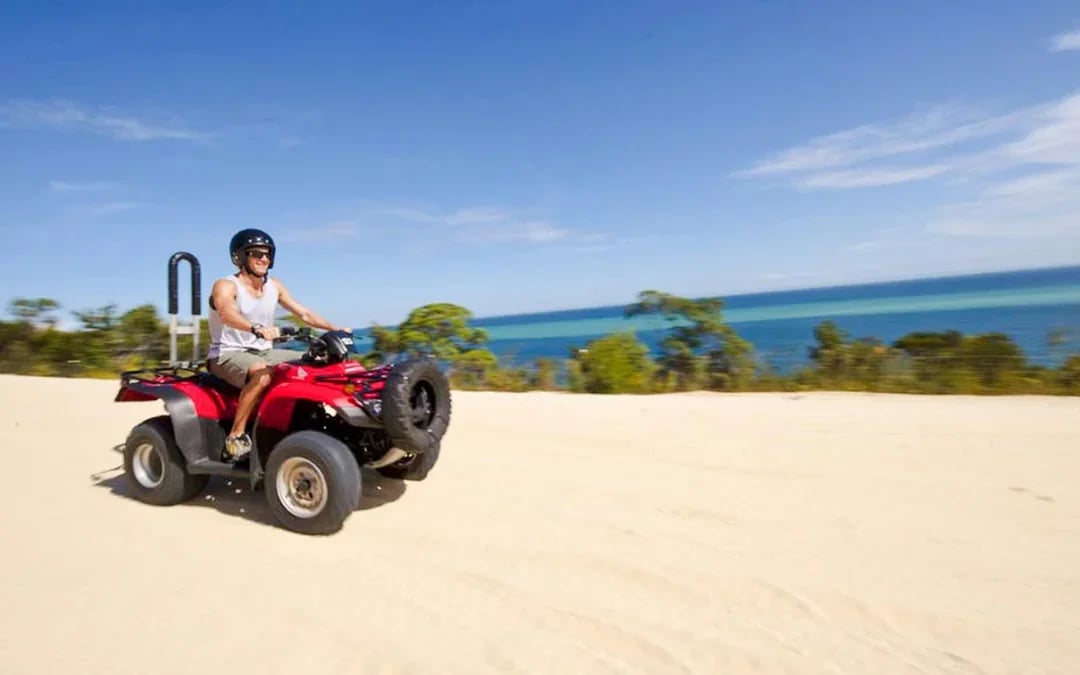 Moreton Island: Tangalooma Resort Cruise with Quad Bike Tour and Dolphin Feeding Image 5