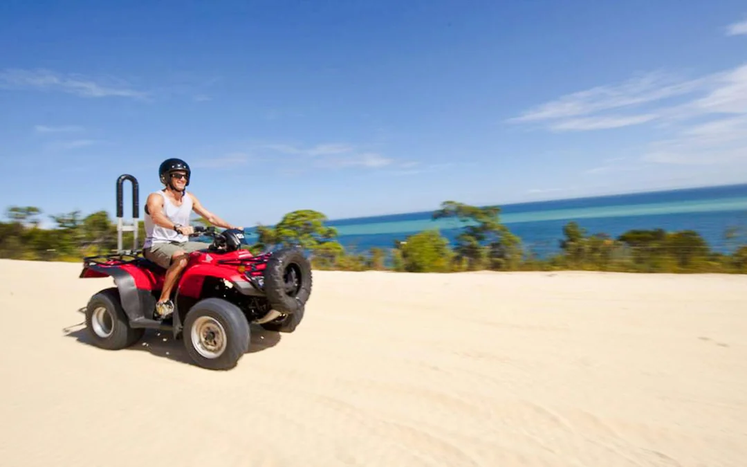 Moreton Island: Tangalooma Resort Cruise with Quad Bike Tour and Dolphin Feeding Image 5