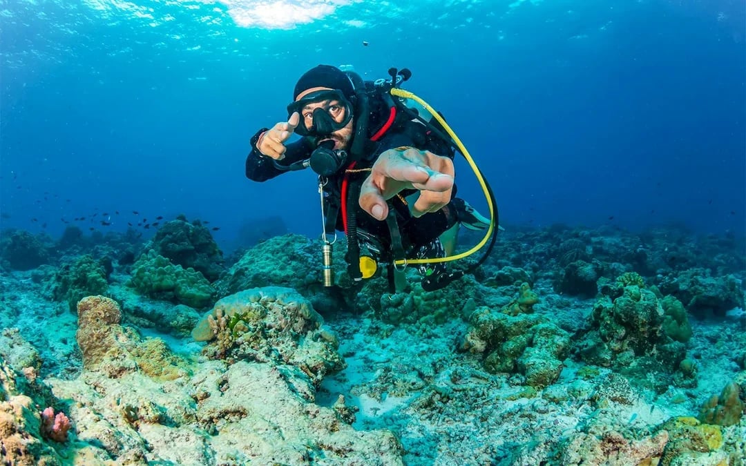 Moreton Island: Tangalooma Scuba Diving Tour Image 1