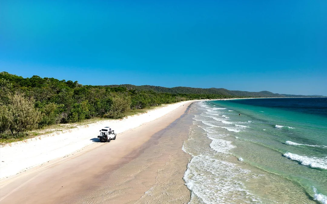 Moreton Island: Tangalooma Wrecks & Lighthouse Sightseeing Tour with Lunch Image 4