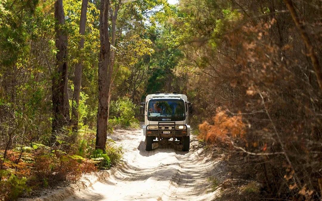 Moreton Island: Tangalooma Wrecks Snorkel, Clear Kayak, & 4WD Desert Tour with Lunch Image 6