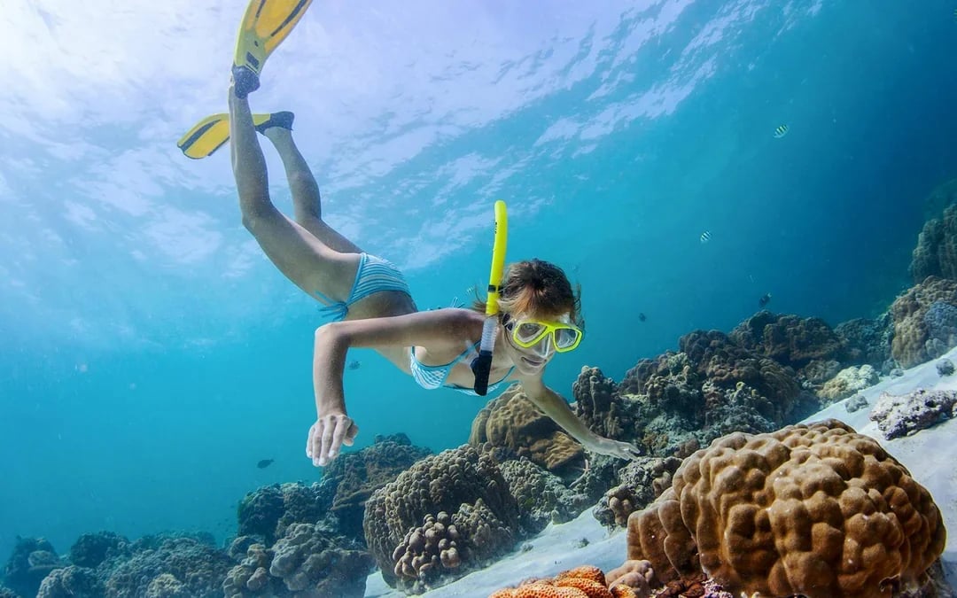 Moreton Island: Tangalooma Wrecks Snorkel, Clear Kayak, & 4WD Desert Tour with Lunch Image 9