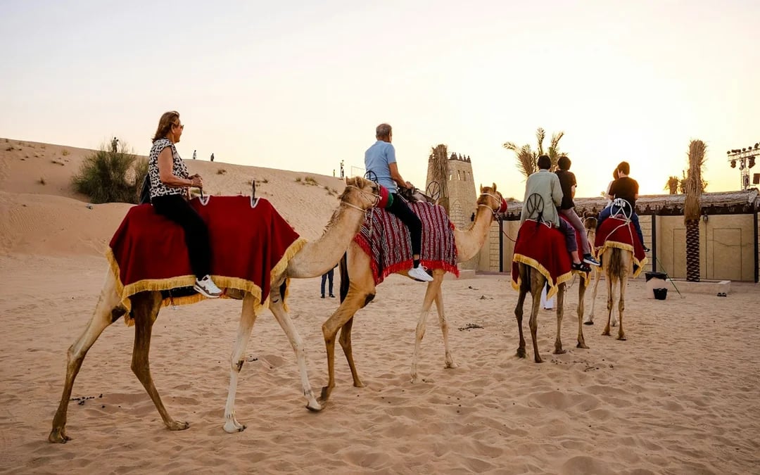 Morning Desert Safari Experience Image 2