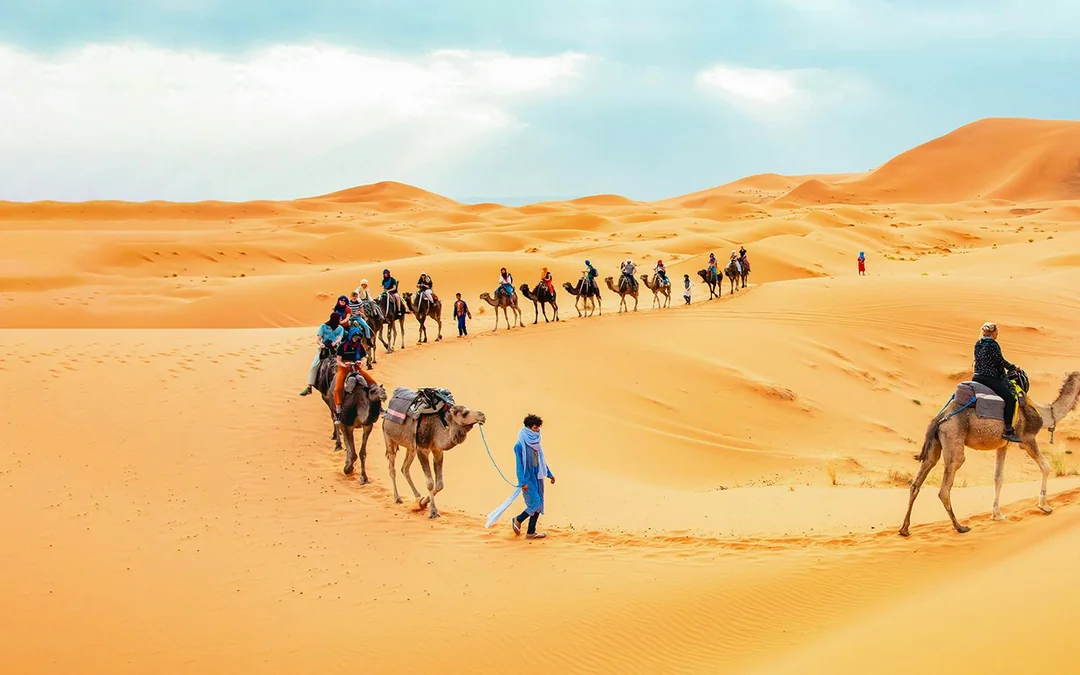 Morning Desert Safari with Camel Farm Visit & Sandboarding Image 1