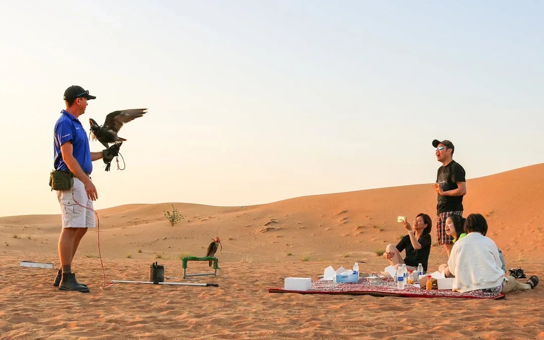 Morning Desert Safari with Camel Farm Visit & Sandboarding Image 6