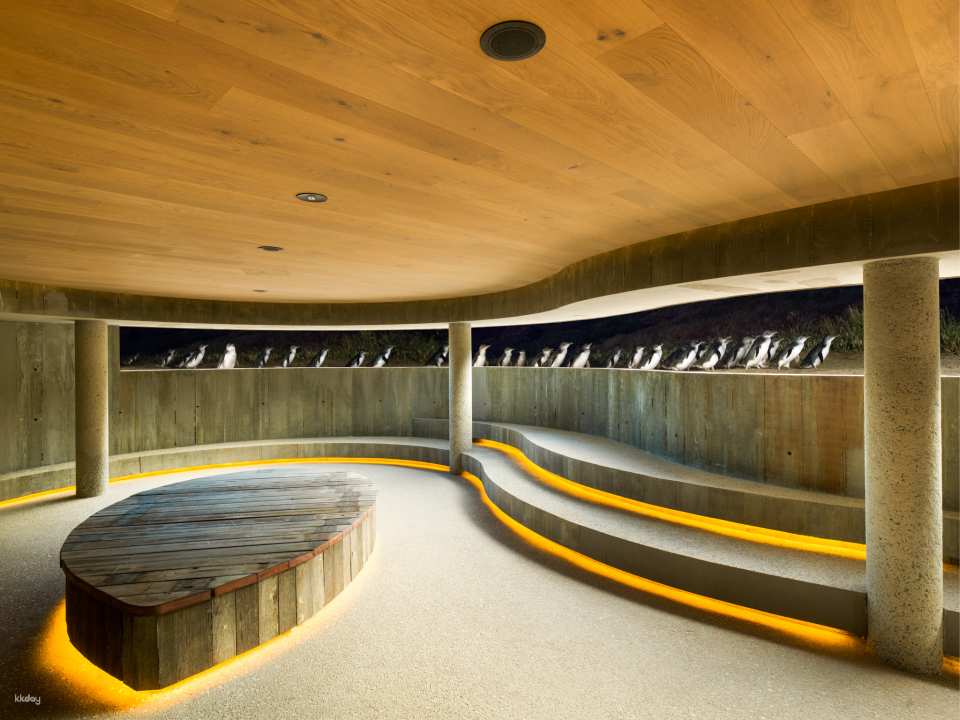Phillip Island Nature Parks Penguin Parade Tickets | Melbourne