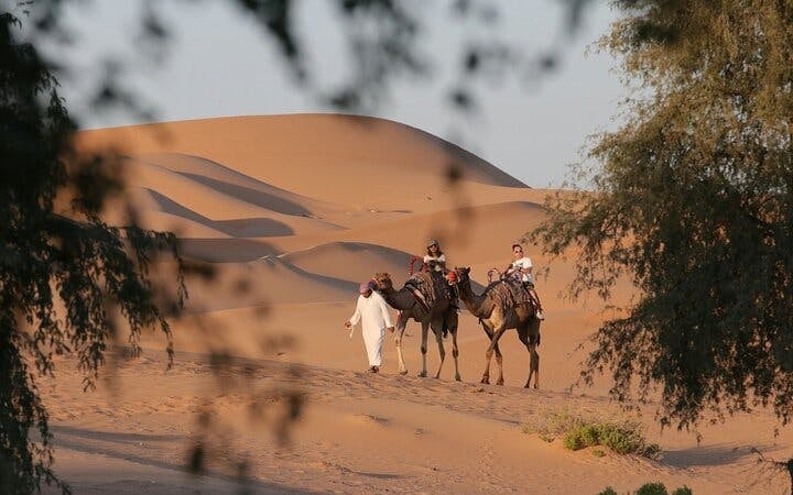 Morning Desert Safari with Dune Bashing, Sandboarding & Camel Ride Image 7