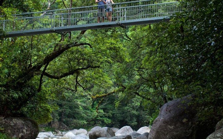 MOSSMAN GORGE DAINTREE EXPERIENCE Image 3