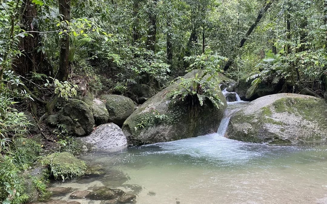 MOSSMAN GORGE DAINTREE EXPERIENCE Image 8