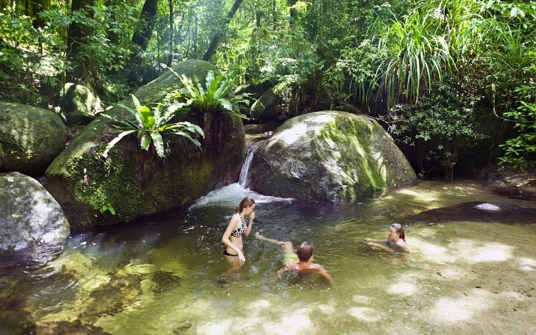 MOSSMAN GORGE DAINTREE EXPERIENCE Image 9