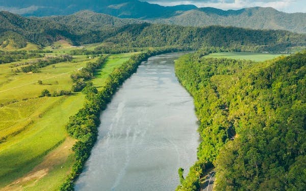 MOSSMAN GORGE DAINTREE EXPERIENCE Image 10