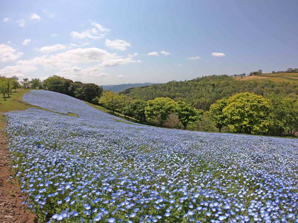 Mother Farm E-Ticket in Chiba, Japan