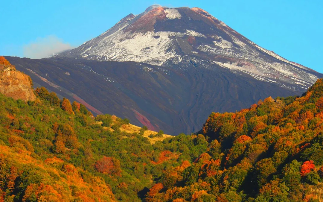Mount Etna Guided Tour by 4x4 with Wine Tasting Image 5