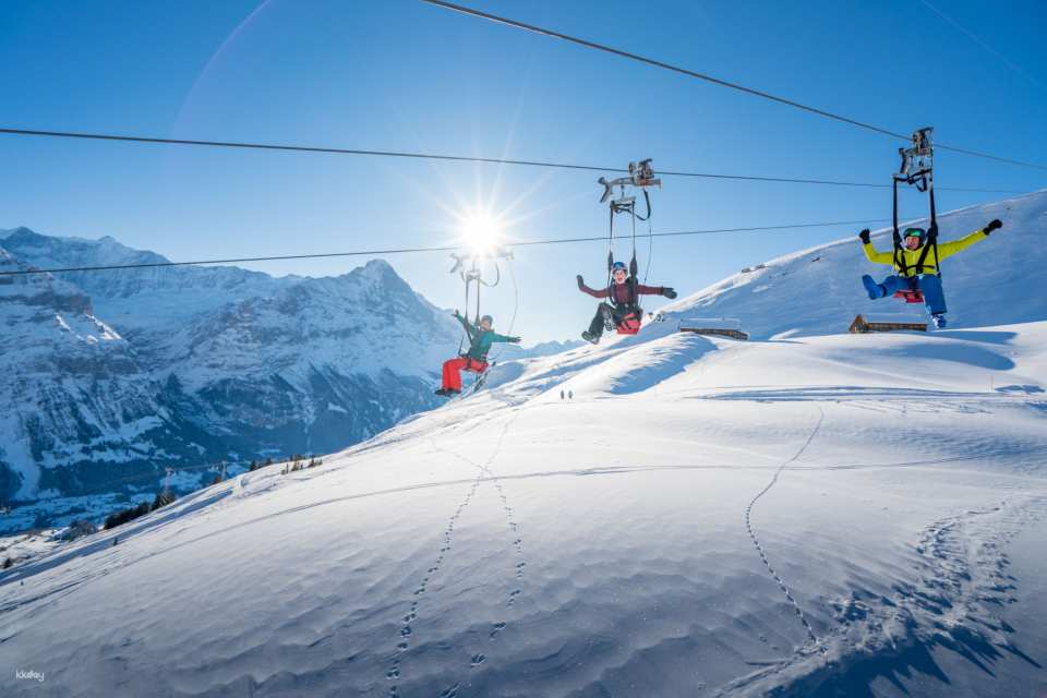 Mount First Cable Car Ticket in Grindelwald | Switzerland