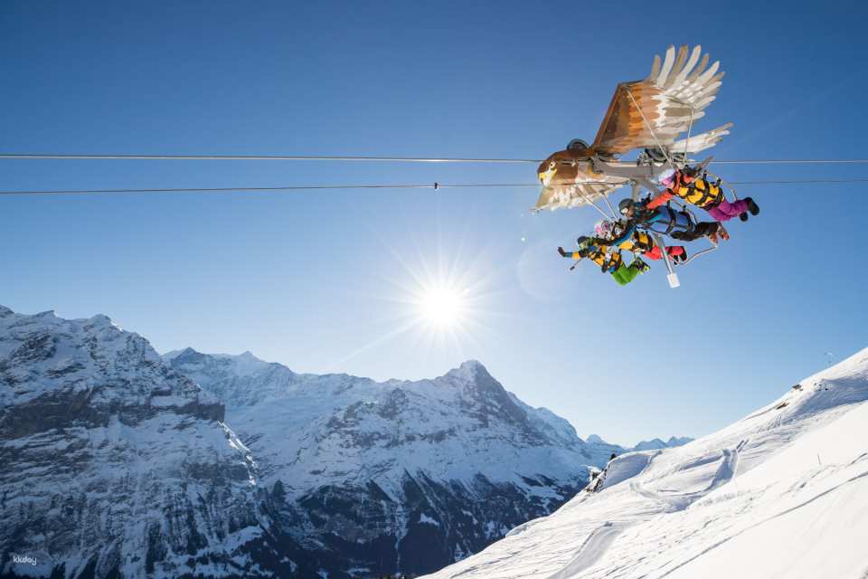 Mount First Cable Car Ticket in Grindelwald | Switzerland