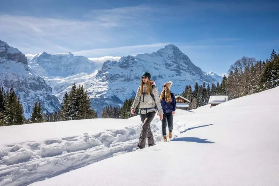 Mount First Cable Car Ticket in Grindelwald | Switzerland