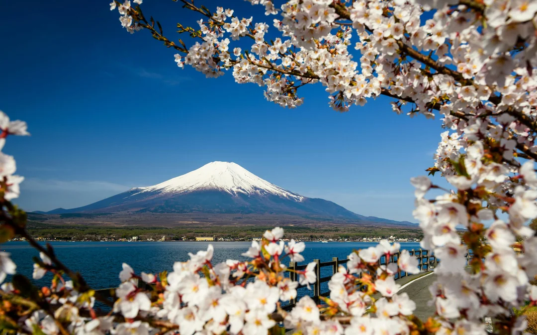 Mount Fuji Guided Day Tour with Lake Kawaguchi & Lake Yamanaka Image 1