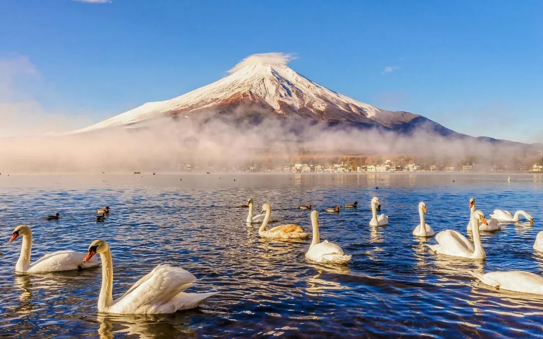 Mount Fuji Guided Day Tour with Lake Kawaguchi & Lake Yamanaka Image 7