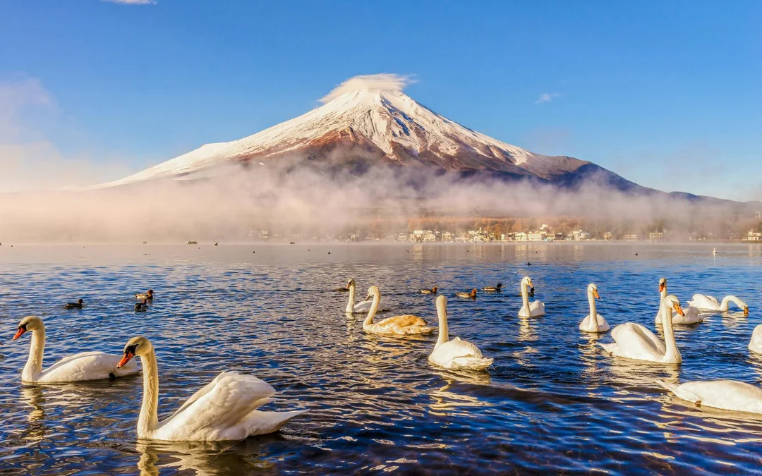 Mount Fuji Guided Day Tour with Lake Kawaguchi & Lake Yamanaka Image 7