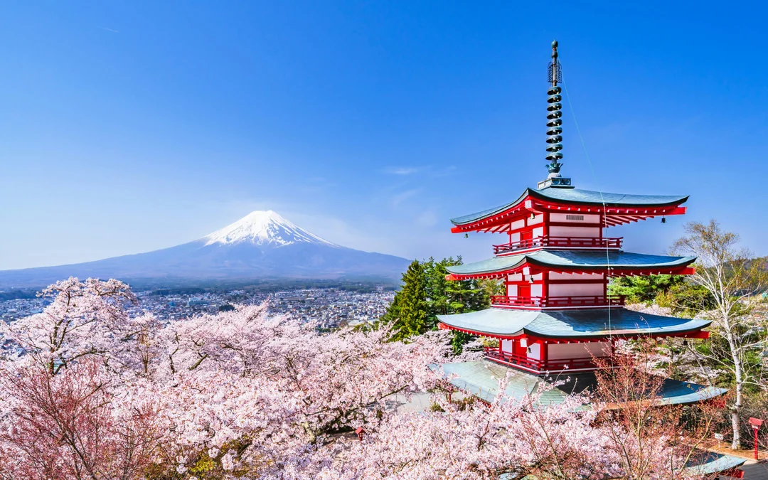 Mount Fuji Highlights Tour: Chureito Pagoda, Lake Kawaguchi, Oshino Hakkai, & More Image 1